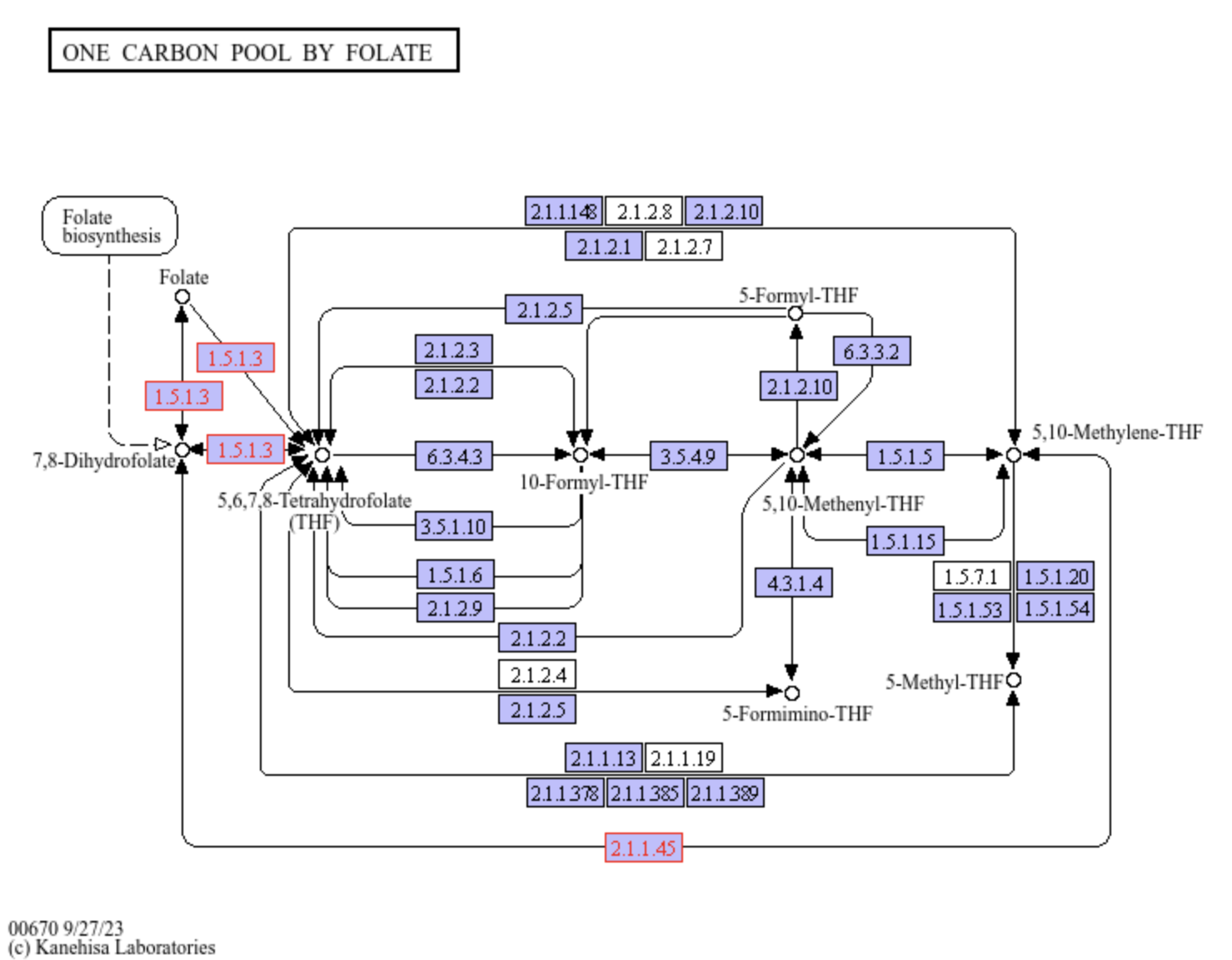 A figure showing the ko00670 One carbon pool by folate pathway.